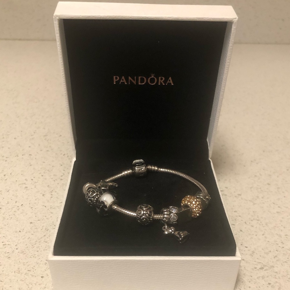 Pandora charm bracelet